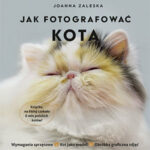 Jak fotografować kota Joanna Zaleska