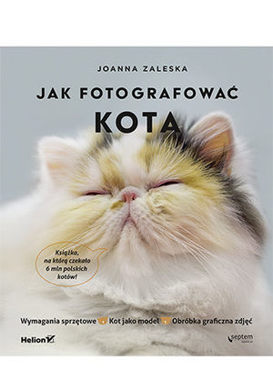 Jak fotografować kota Joanna Zaleska